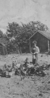 Ralph feeding chickens