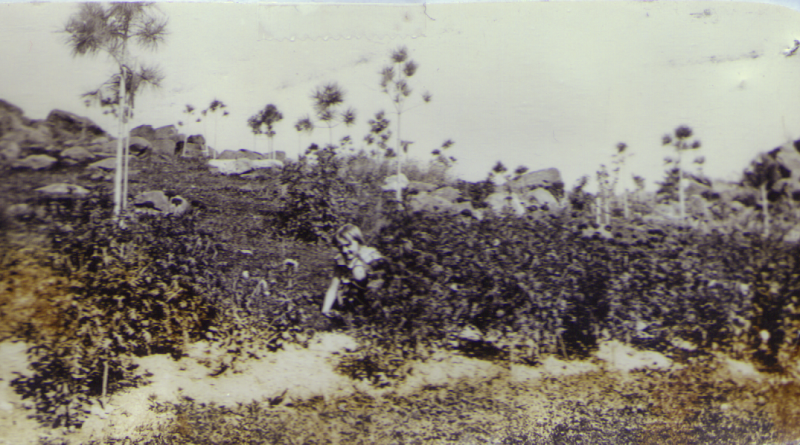 Opal Smullin Photo 1